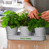 Herb Planter